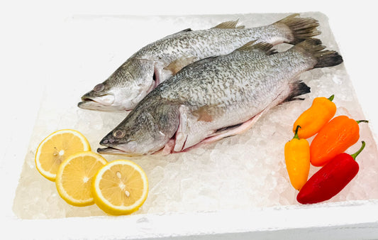 Sea Bass/金目鲈 700g-800g