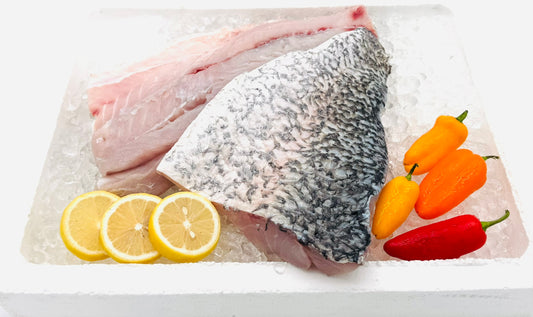 Sea Bass Fillet/金目鲈排