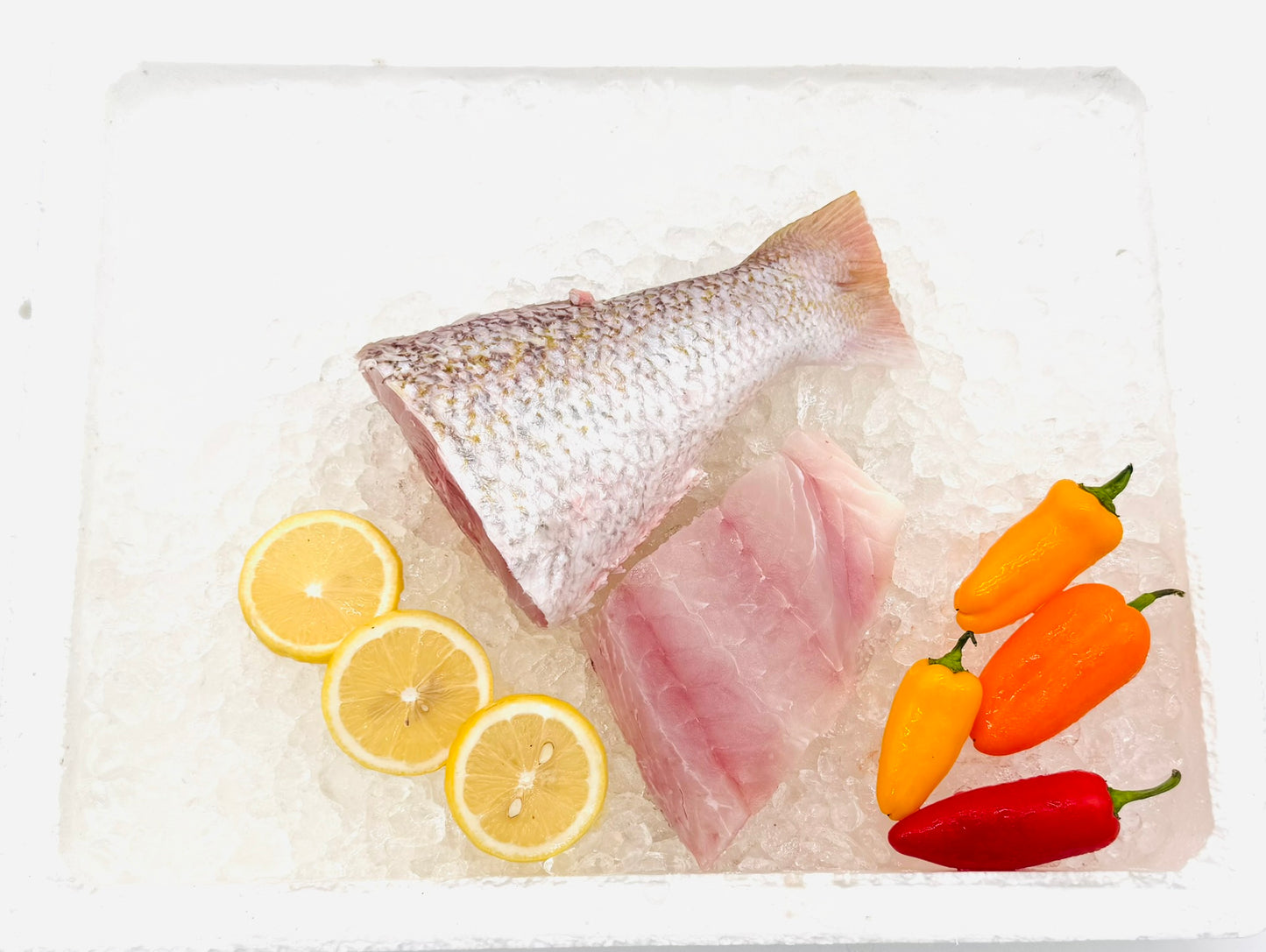 White Snapper Fillet/红哥里排