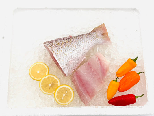 White Snapper Fillet/红哥里排